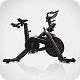 Bike Spinning 250 PRO